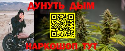 гидра Кингисепп