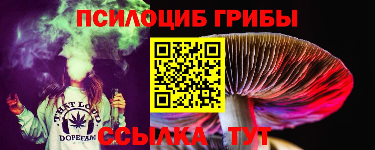 Кунгур  Псилоцибиновые грибы мухоморы  Галлюциногенные грибы прущие грибы  Вход с VPN 