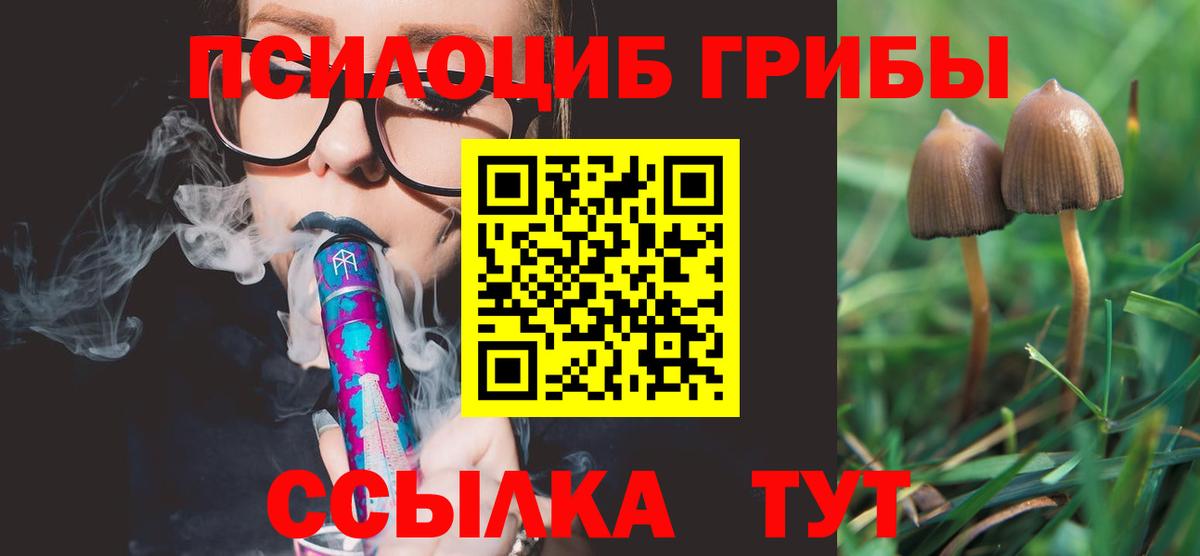 Псилоцибиновые грибы мицелий Кунгур